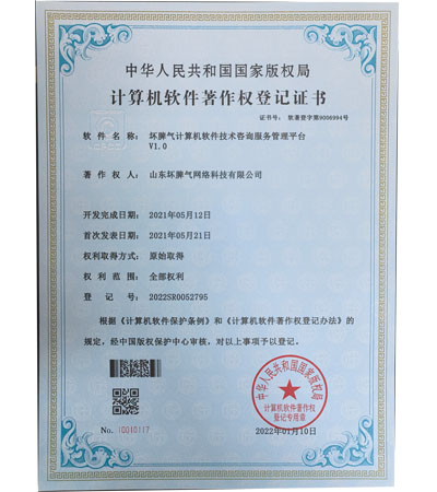 计算机软件技术咨询服务管理平台